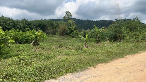 Land with greenery and hills