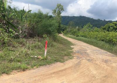 Dirt road leading into lush greenery with trees and hills in the background