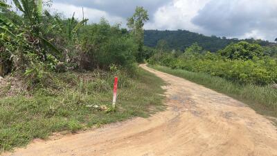 Dirt road leading into lush greenery with trees and hills in the background