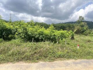 Vacant land with greenery and cloudy sky