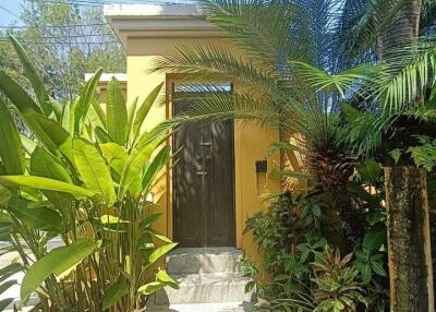 Thai Bali Style Villa 3 Bedroom in Bang Tao for Rent