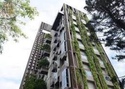 High-rise building with greenery