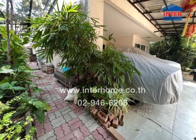 Outdoor area with carport and greenery