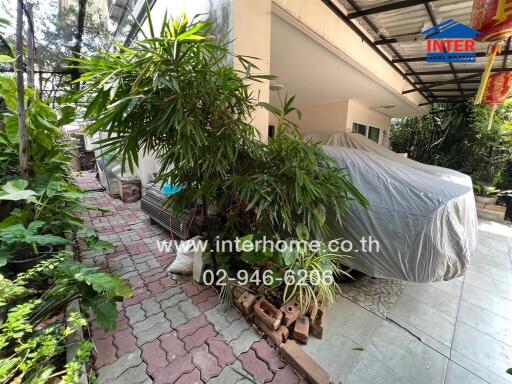 Outdoor area with carport and greenery