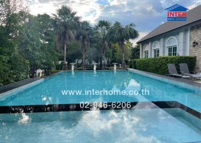 Swimming pool in well-maintained backyard garden with lounge chairs and palm trees
