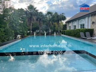 Swimming pool in well-maintained backyard garden with lounge chairs and palm trees