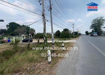 View of a roadside with surrounding vegetation and power lines