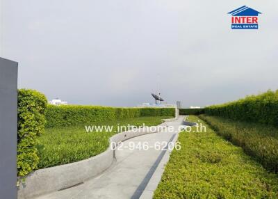 Rooftop garden with walkway and satellite dish