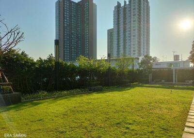 Lawn area with tall buildings in the background