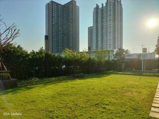 Lawn area with tall buildings in the background