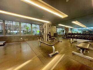 Spacious gym with modern equipment and large windows