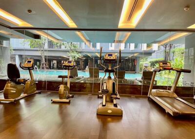 Modern gym overlooking a pool area with exercise equipment