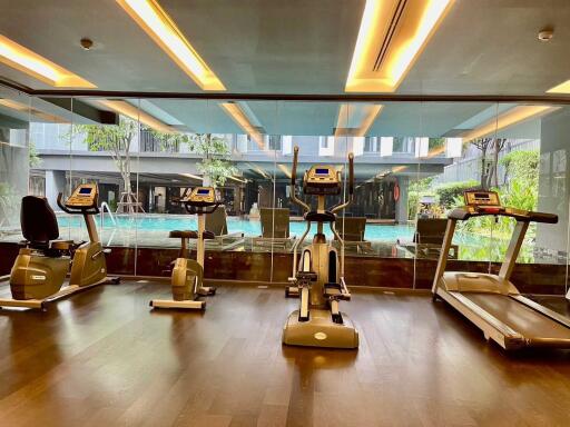 Modern gym overlooking a pool area with exercise equipment