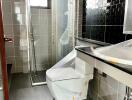 Modern bathroom with a shower enclosure, toilet, and sink