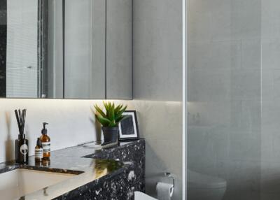 Modern bathroom with sleek fixtures and black marble counter