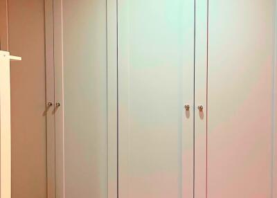 Custom-built closet with multiple doors