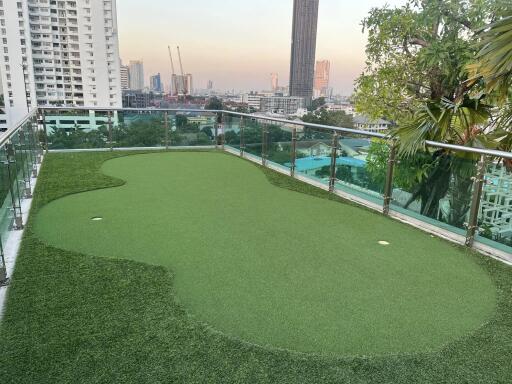 Rooftop view with artificial grass and cityscape