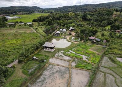 5 House Thai Style Complex in Mae Rim