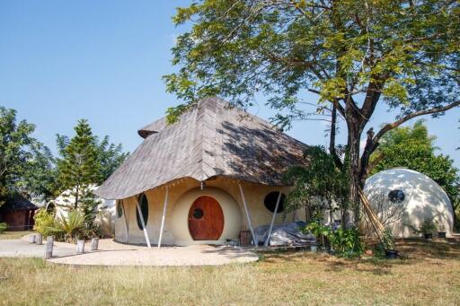 Unique Bamboo Dome Houses in Hang Dong