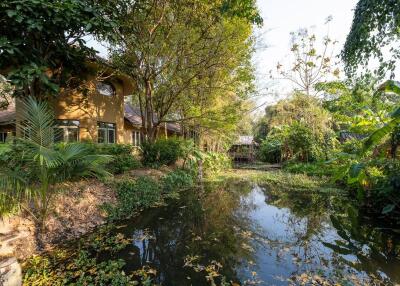 Two House Property in Mae Rim with Double Stream