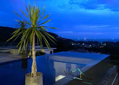 Rooftop view with a potted plant and evening sky