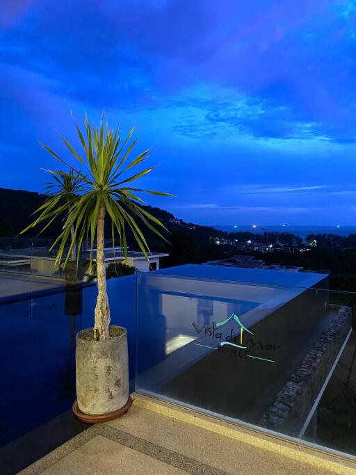 Rooftop view with a potted plant and evening sky