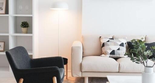 Modern living room with light-colored sofa and decorative pillows, black accent chair, bookshelf, and potted plant.