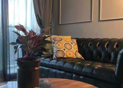 Living room with black leather sofa, plant and decorative pillows