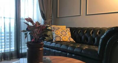 Living room with black leather sofa, plant and decorative pillows