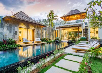 Outdoor view of a luxurious modern villa with a pool