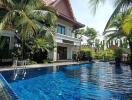 Exterior view of a house with a swimming pool surrounded by palm trees