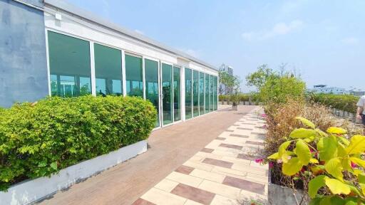 Modern rooftop patio with glass walls and plants