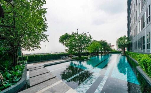 Outdoor swimming pool with surrounding trees and building