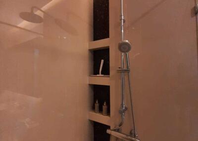 Modern bathroom shower area with built-in shelves