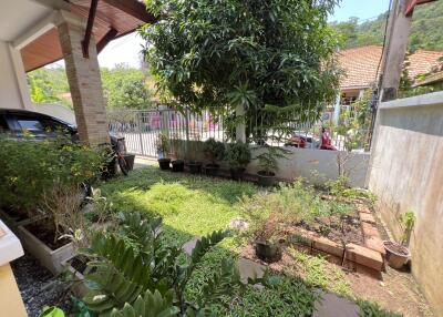 A cozy garden space with various plants and trees