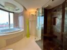 Modern bathroom with jacuzzi and walk-in shower