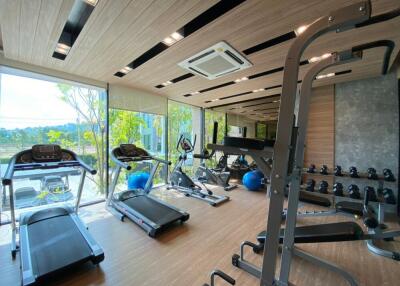 Modern gym with various fitness equipment