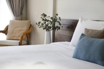 Cozy bedroom with a wicker chair, decorative pillows, and a plant