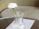Glass vase with white flower on a table