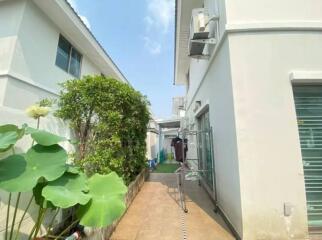 Outdoor passage between buildings with greenery