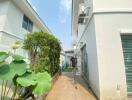 Outdoor passage between buildings with greenery