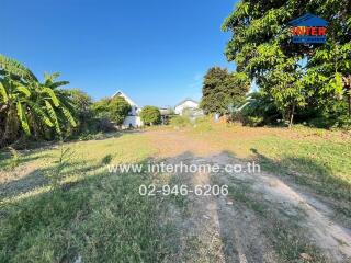 House front lawn