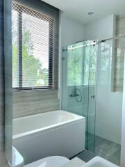 Modern bathroom with a bathtub and glass shower enclosure