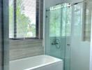Modern bathroom with a bathtub and glass shower enclosure