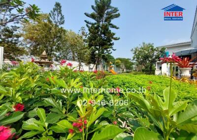 Well-maintained garden with vibrant flowers and lush greenery