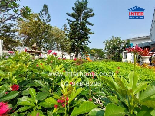 Well-maintained garden with vibrant flowers and lush greenery
