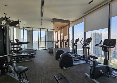 Modern gym with various exercise equipment and city views