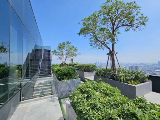 Modern building with rooftop garden