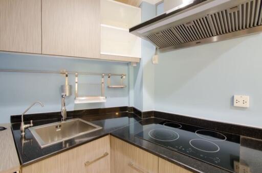 modern kitchen with stovetop, sink, and cabinetry