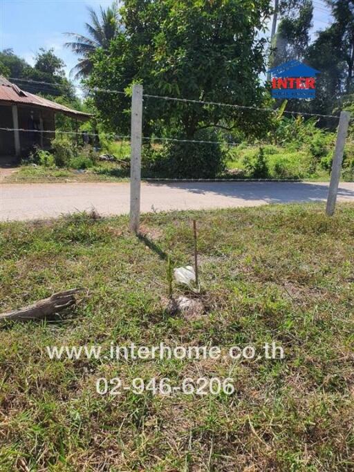 Vacant land with grass and trees